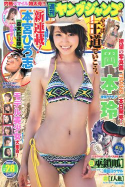 新女婿时代剧情